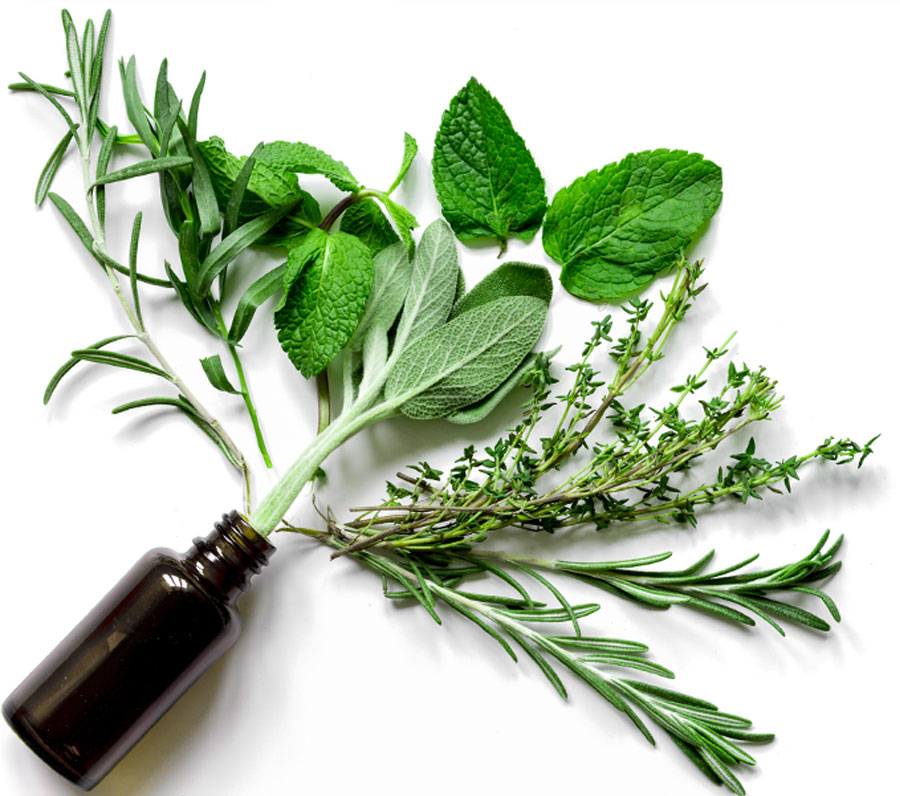 Essential Oils Essential Oils