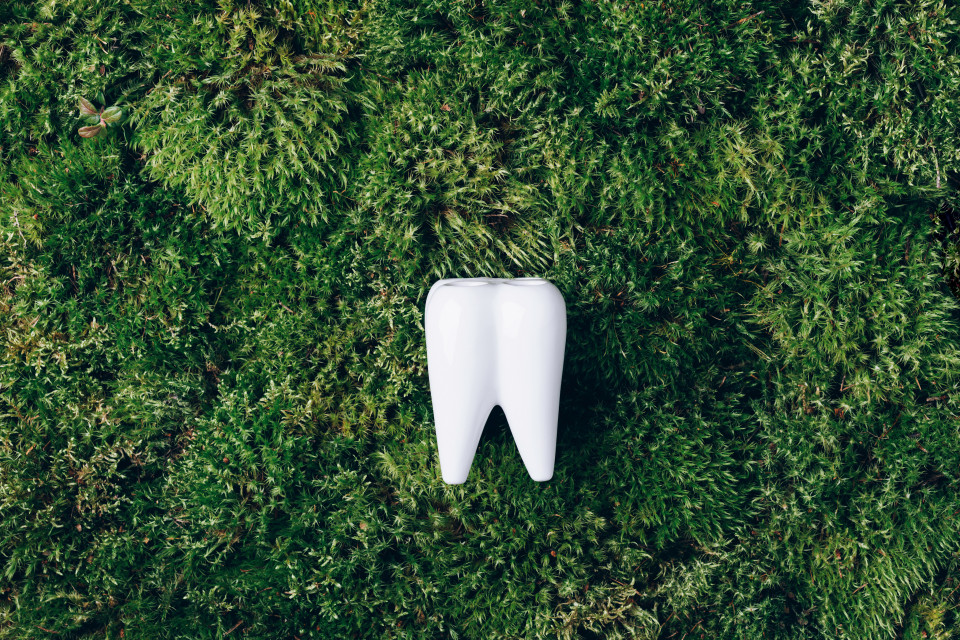 Holistic Dentistry